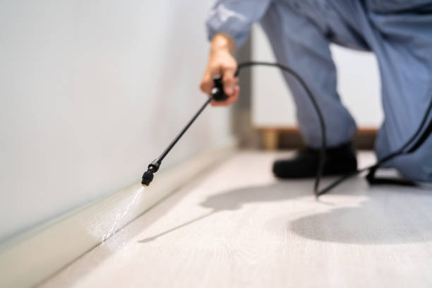Licensed Termite Control service in Oak Park, MI - Show Me Pest Control